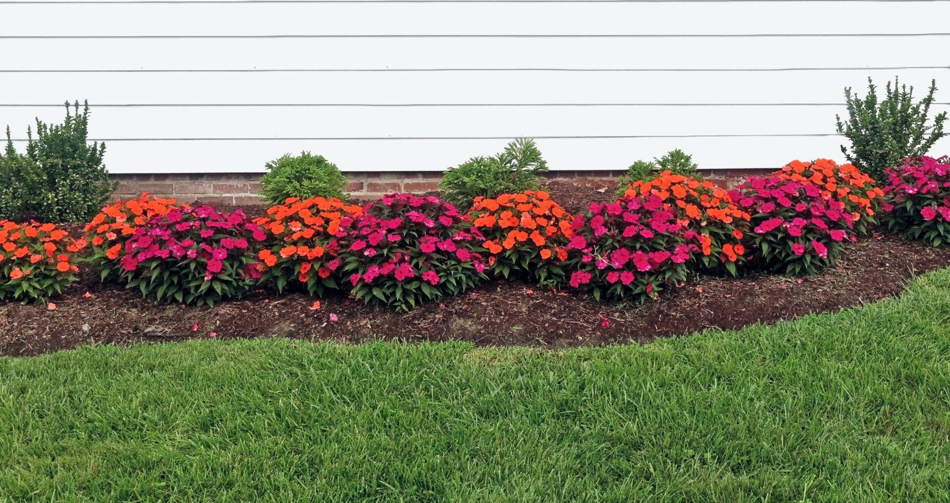 Lawn Maintenance — Red and Orange Summer Impatiens Bordering Home in Chesapeake, VA