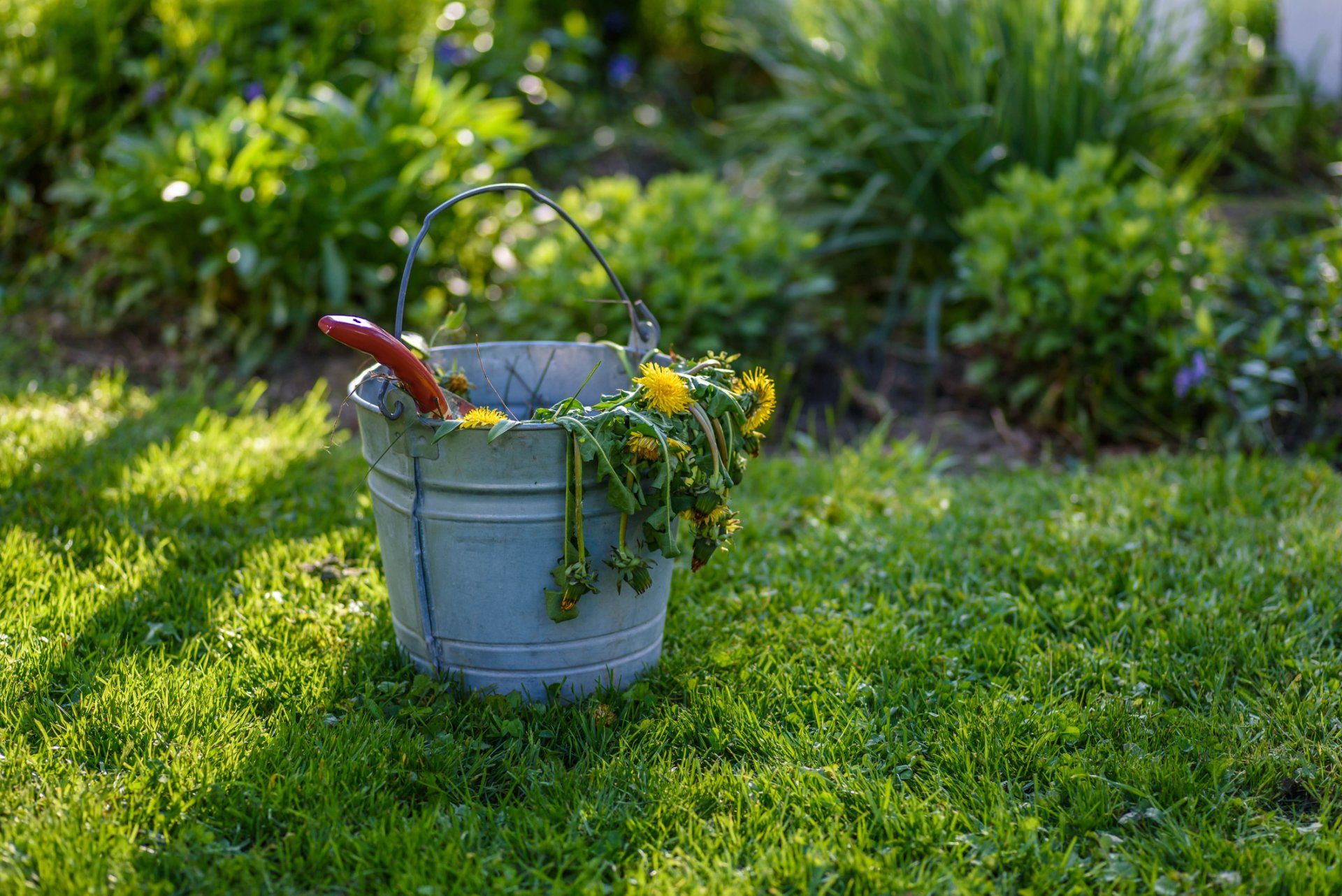 Pulling Weeds Plants — Chesapeake, VA — Grassroots of Tidewater LTD.