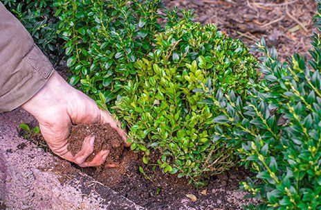 Gardener Checking Soil  — Chesapeake, VA — Grassroots of Tidewater LTD.