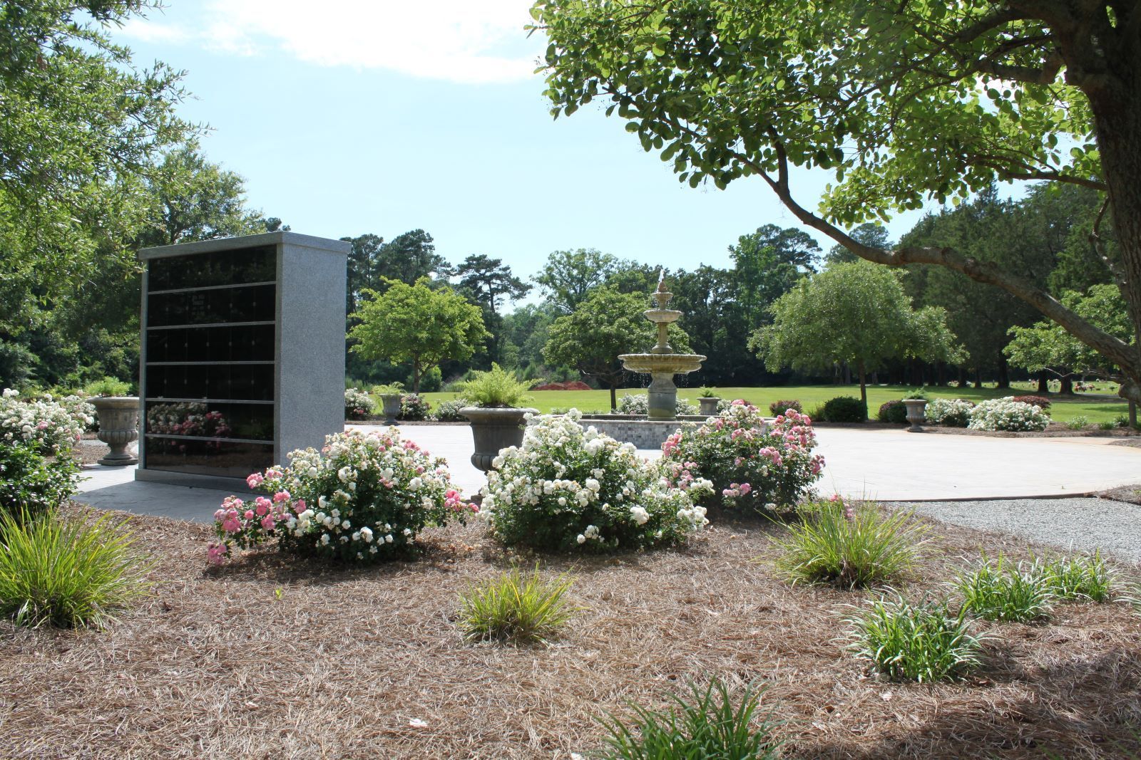 There is a bench in the foreground and a tree in the background.