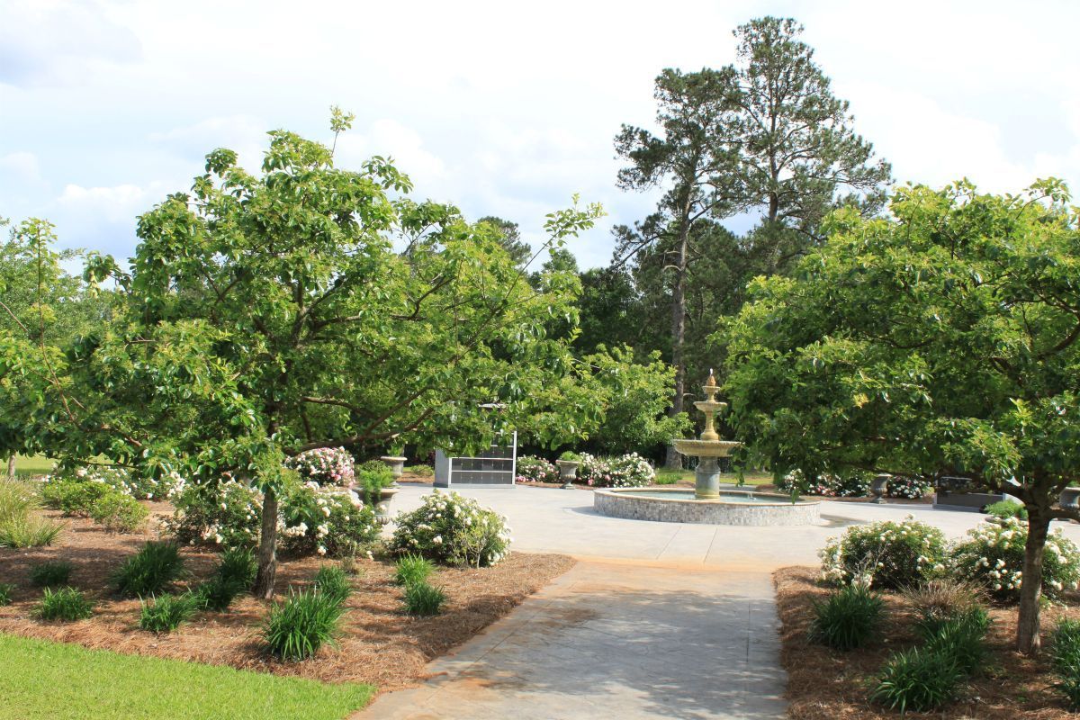 There is a fountain in the middle of the park surrounded by trees.