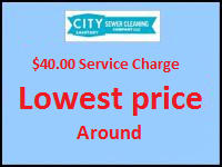 $40 Service charge - lowest price around!