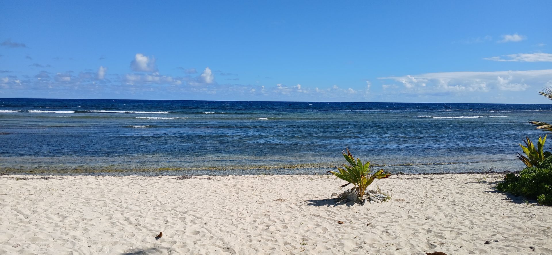 View from the Pelican Cove Condos