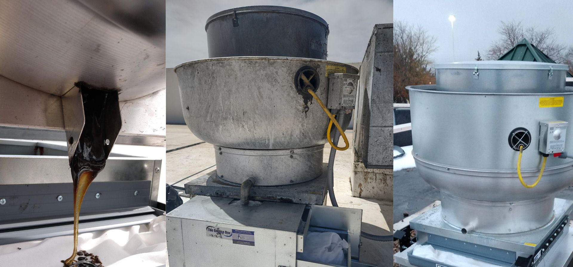 Three rooftop exhaust fan examples, with various conditions, including one showing a burnt bird.