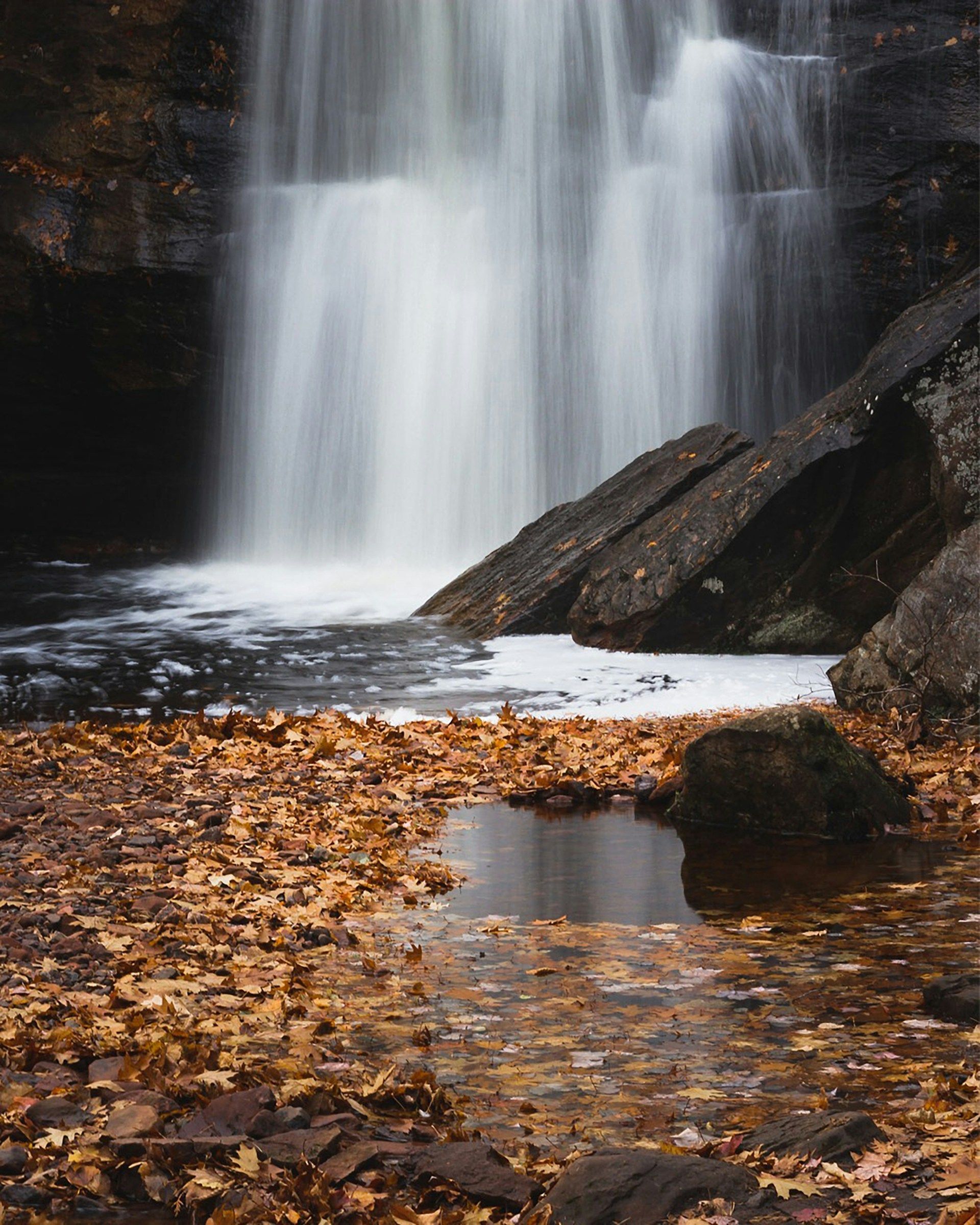 A waterfall flows over dark rocks into a pool surrounded by fallen autumn leaves.