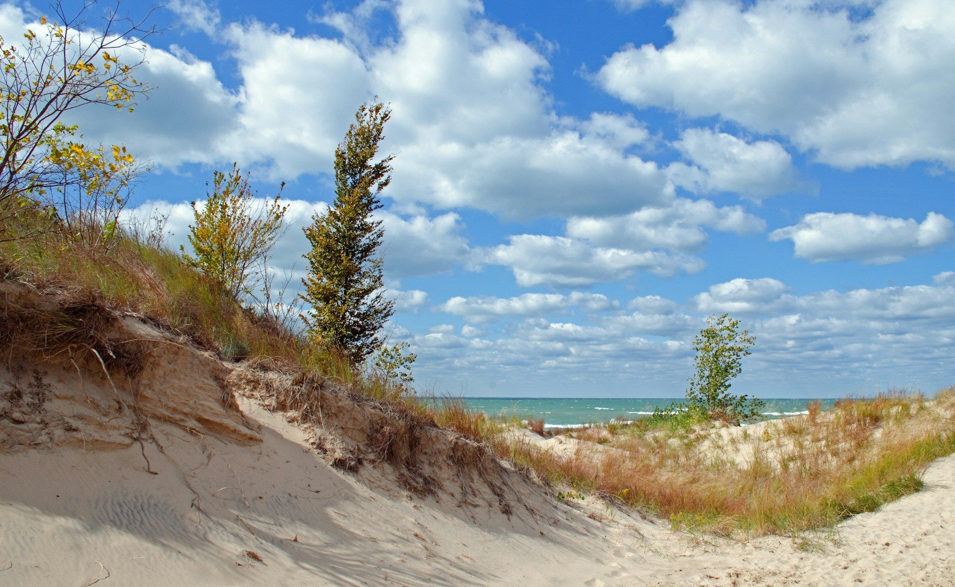 Sandy dunes with sparse vegetation and trees under a blue sky with scattered clouds, overlooking the water.