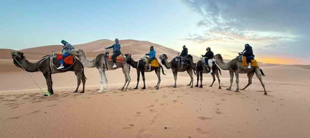 People riding camels across a sandy desert at sunset