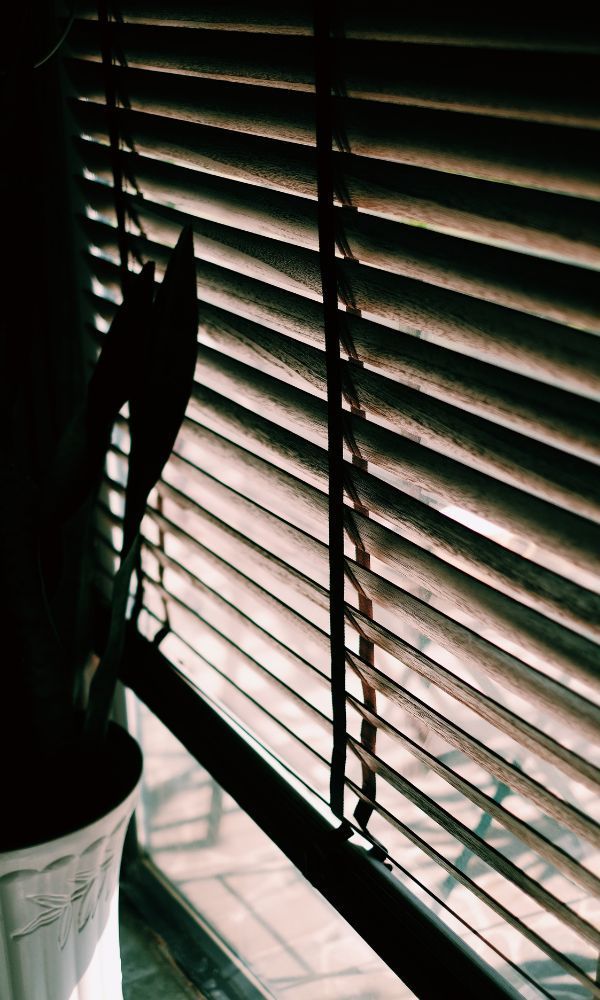 Window Blinds in Shadow
