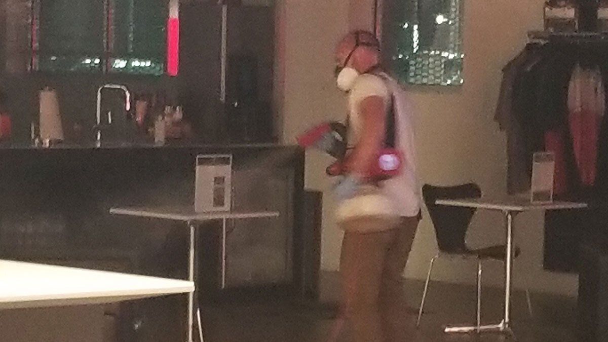 Electrostatic Disinfection 5