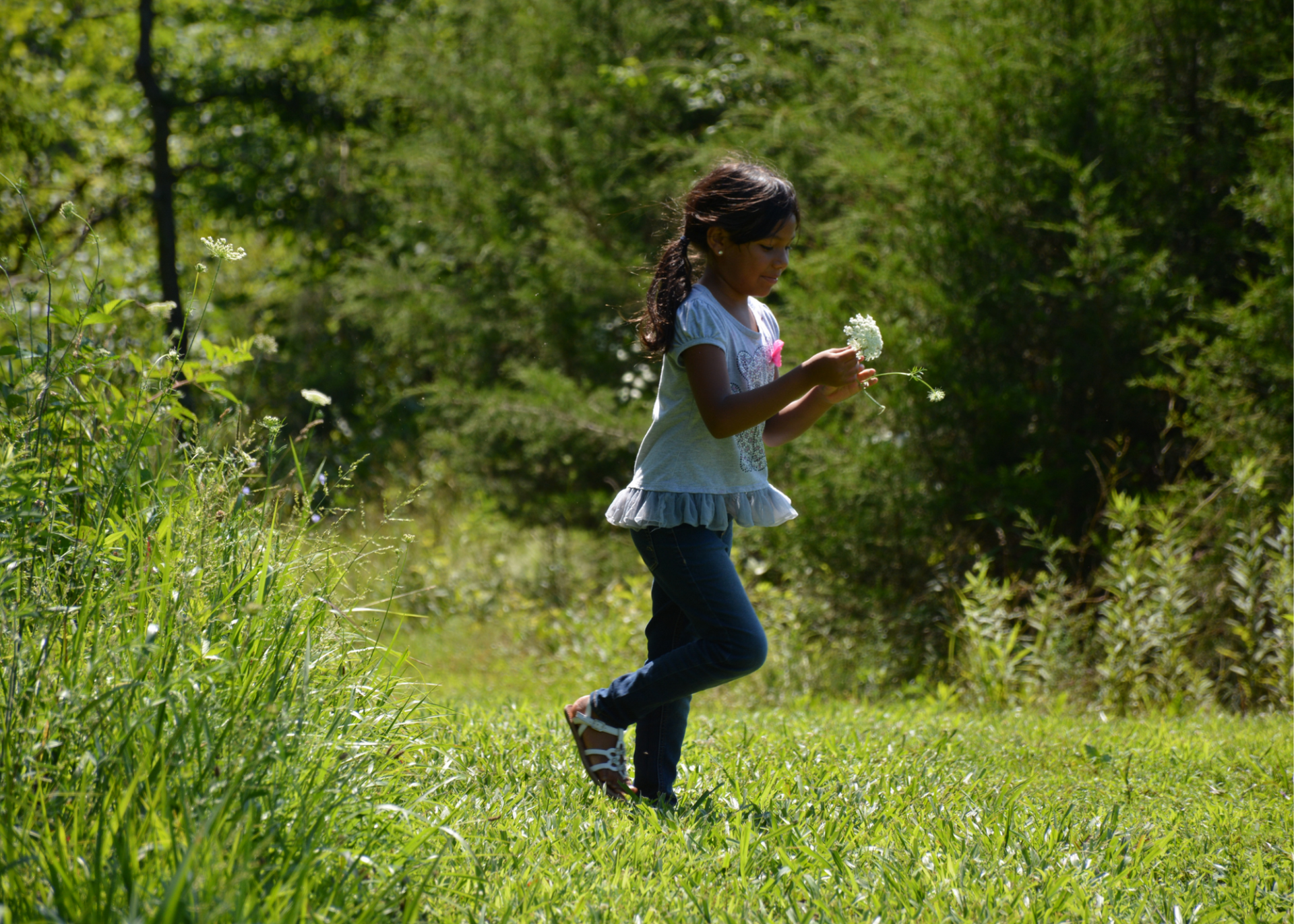 Nature Camp for kids ages 6-10