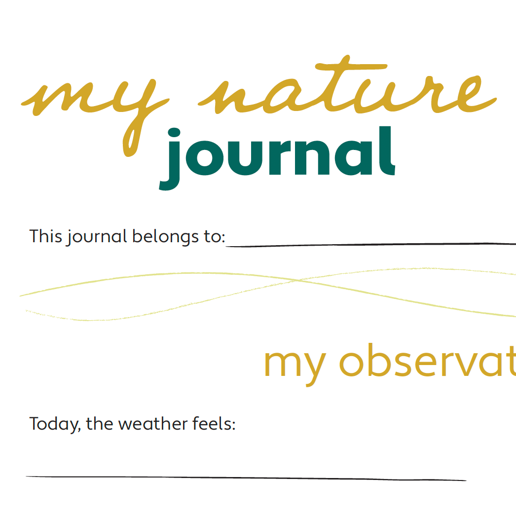 Nature Journal Activity for kids available for download