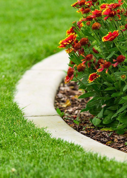 Garden With Green Grass And Flowers — Tropical Cleaning Services in Innisfail, QLD