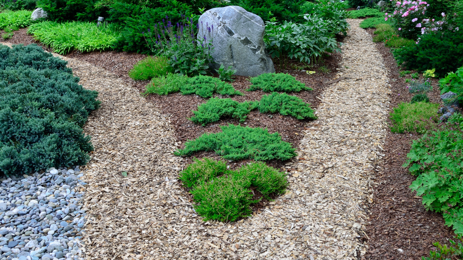 company landscaping services