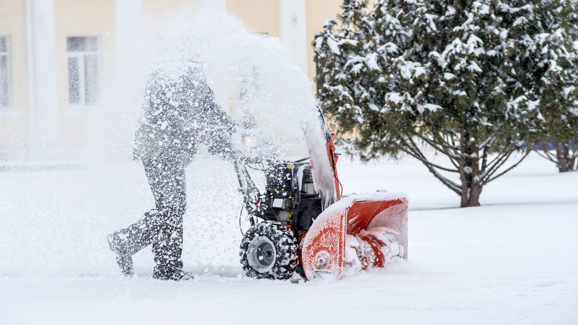 company landscaping services