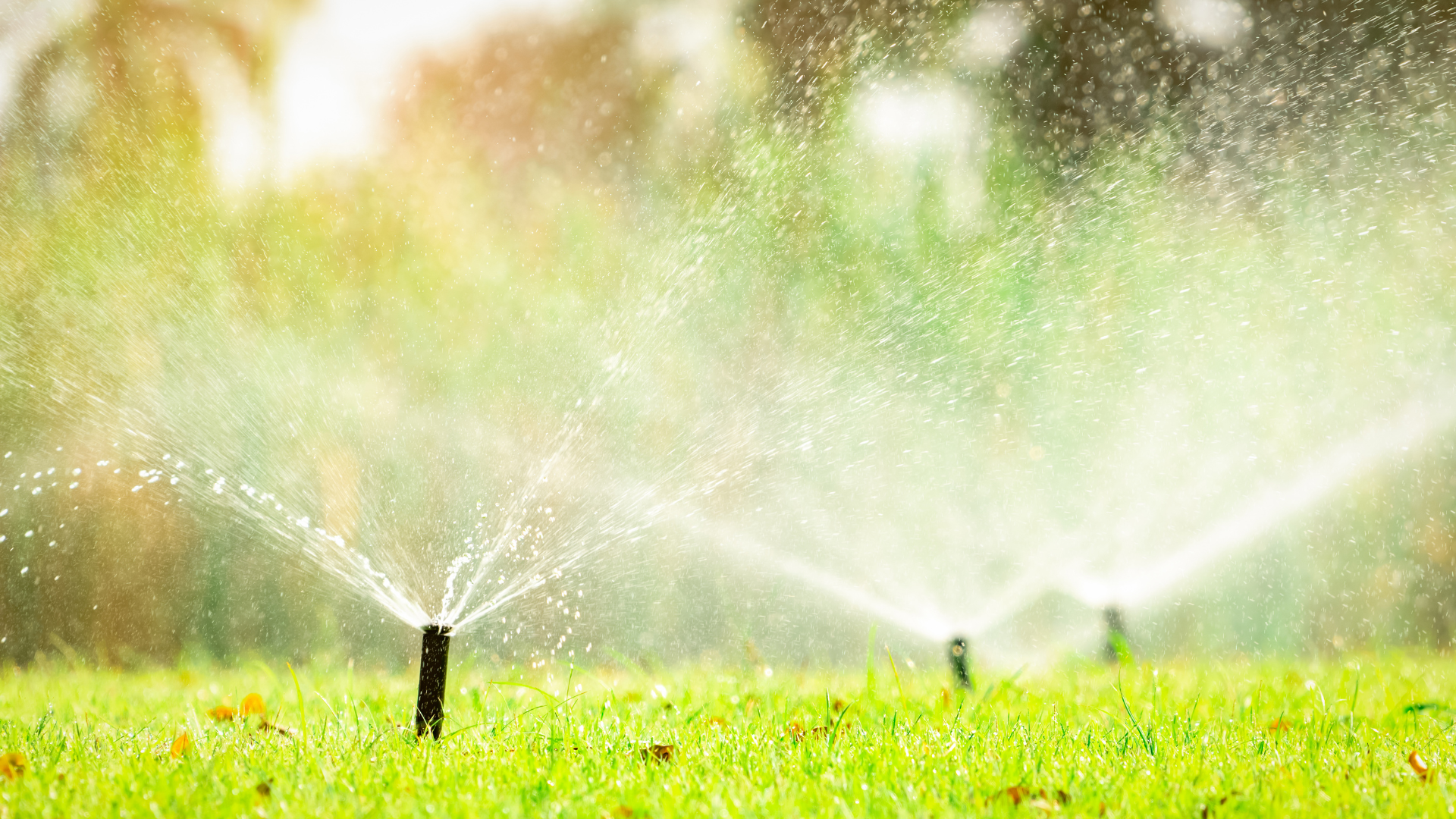 company landscaping services
