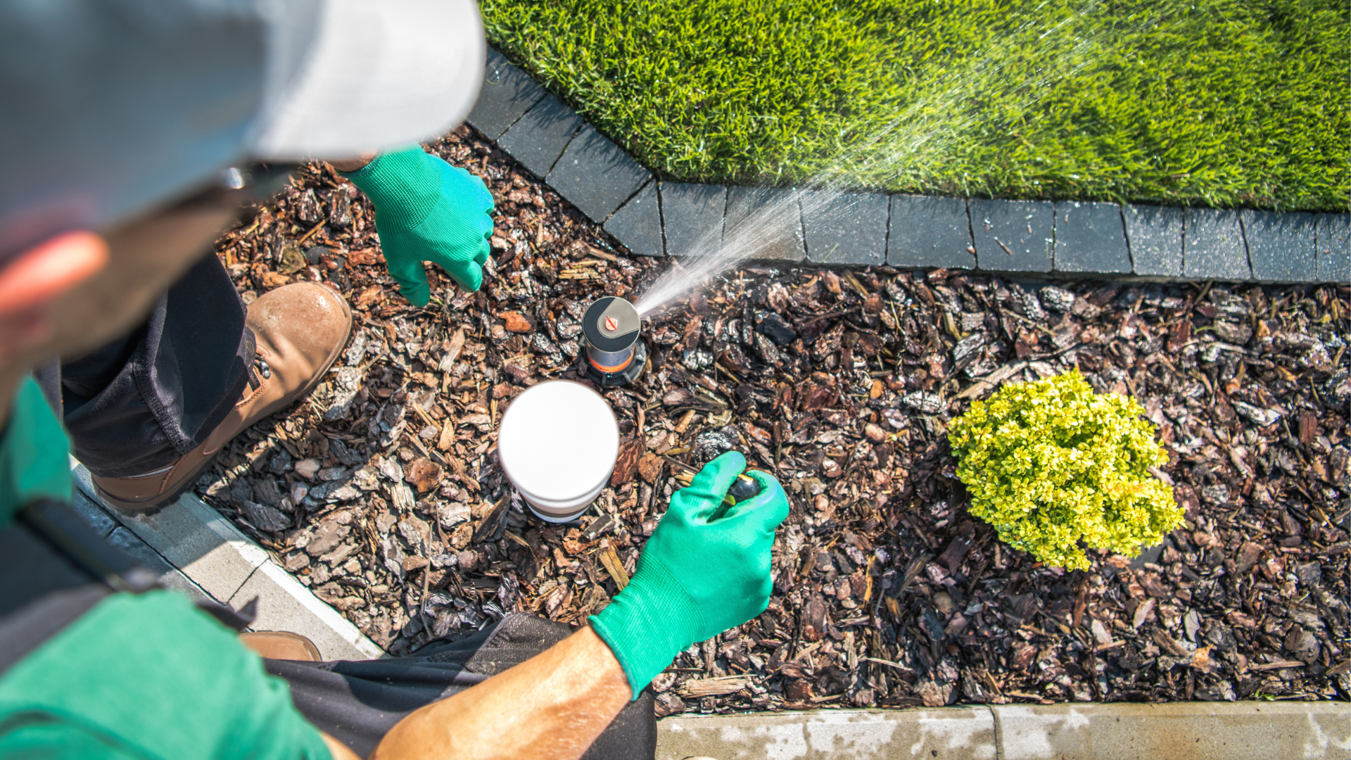 company landscaping services