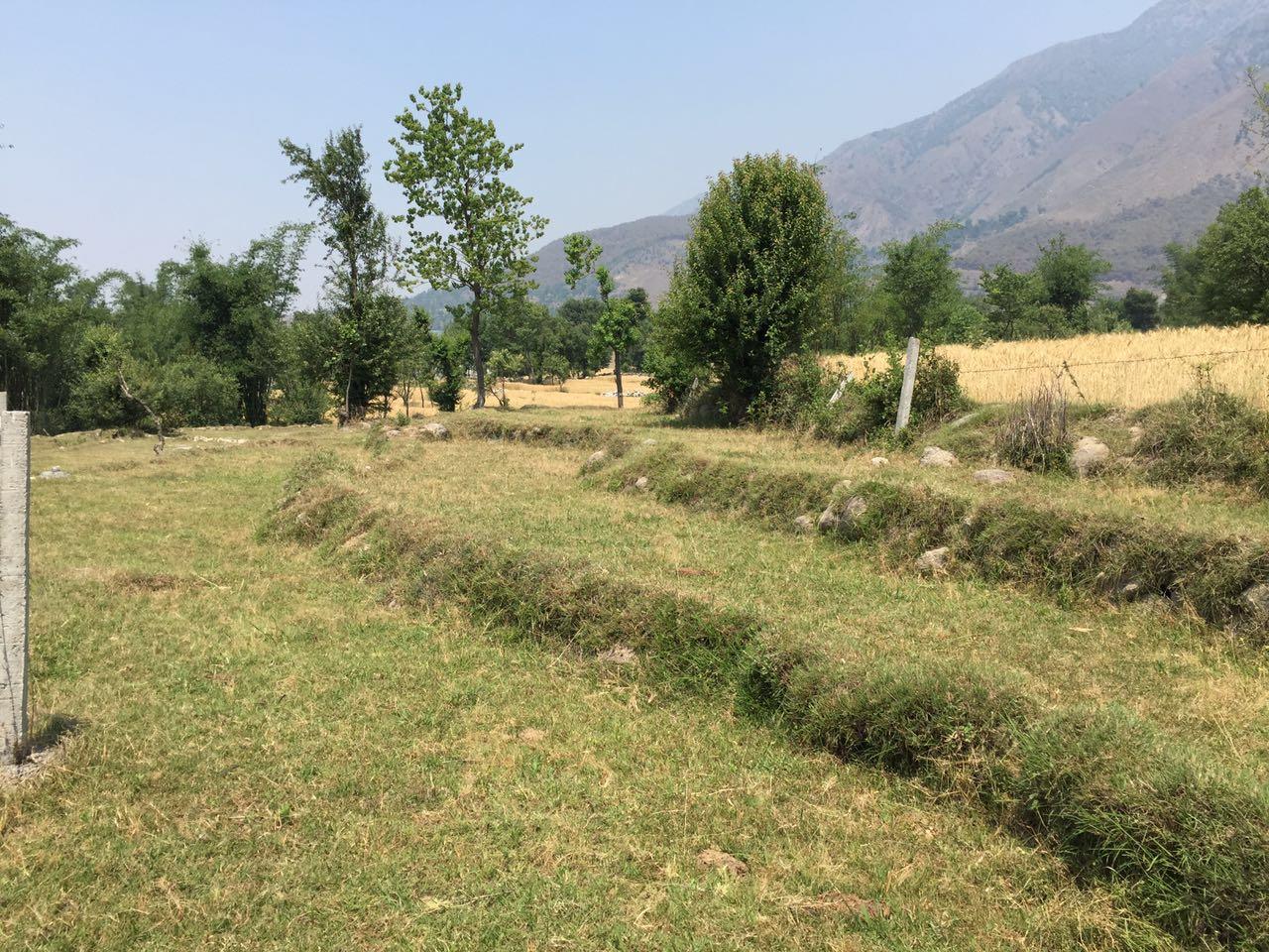 Construction of a modest home for abandoned and distressed farm animals.