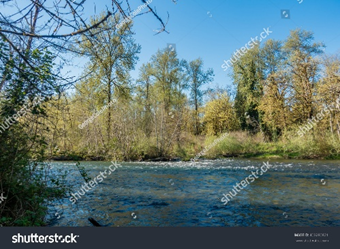 River flowing with trees and a blue sky in the background.