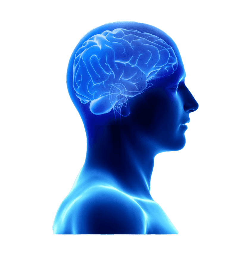 Sleep, restful sleep, relax, natural