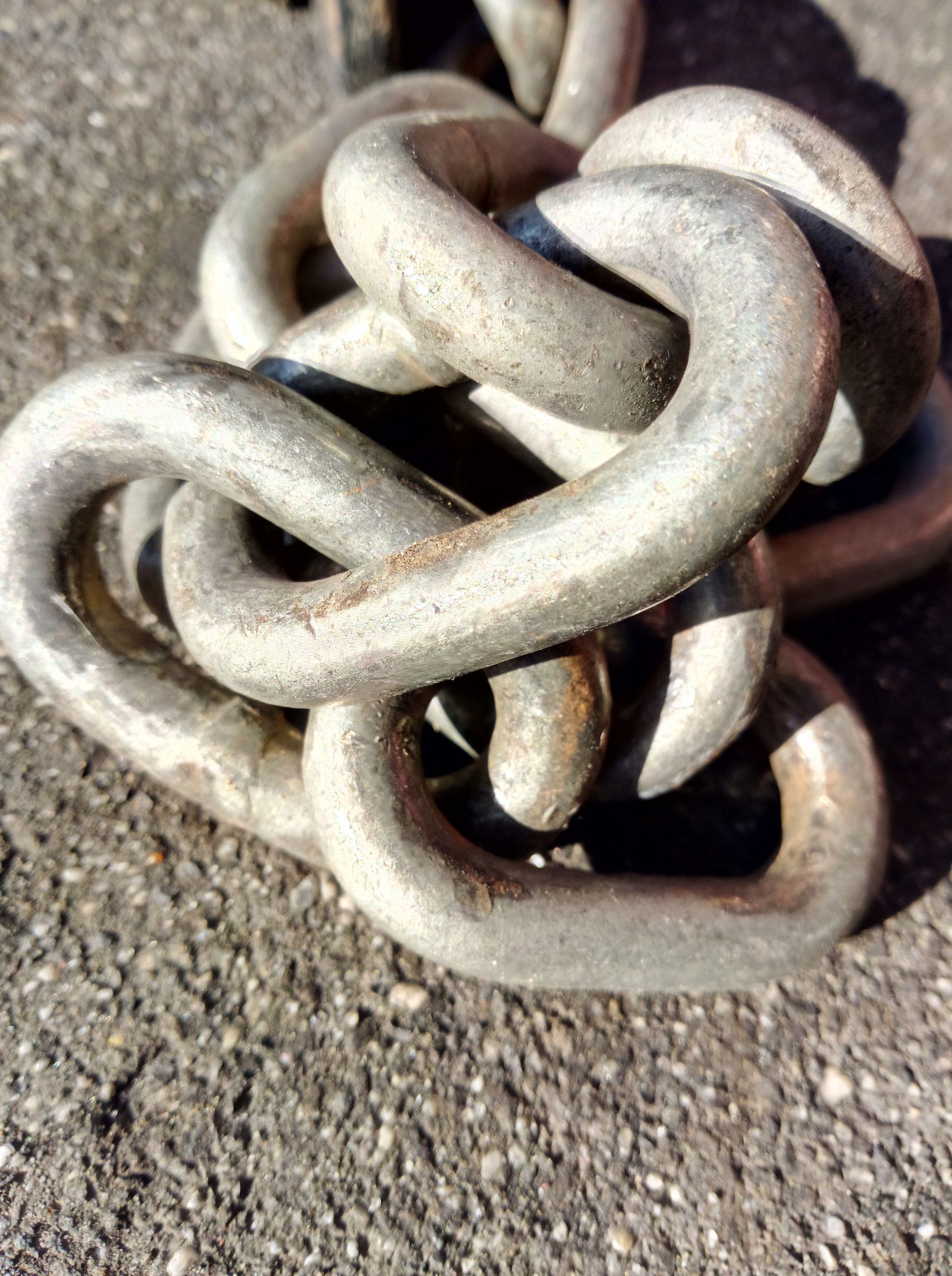 Heavy Metals Detox, Immune System,