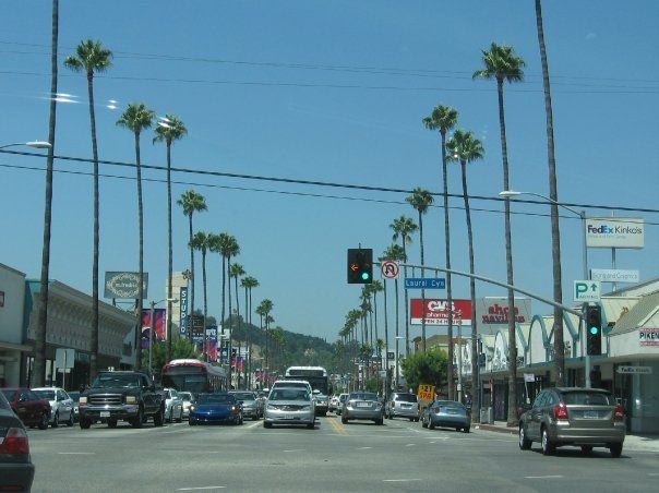 Street scene with palm trees, traffic, and businesses under a blue sky.