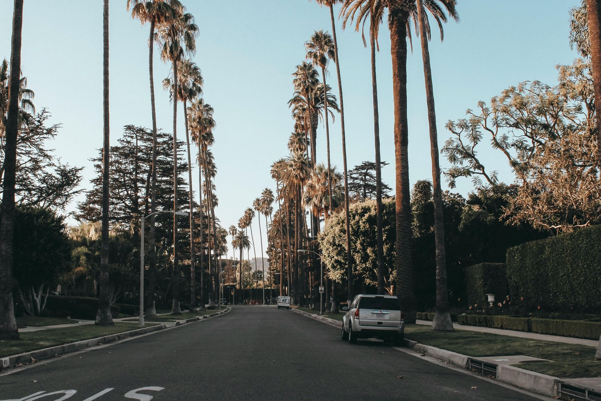 Empty street lined with palm trees in Los Angeles. A white SUV is parked.