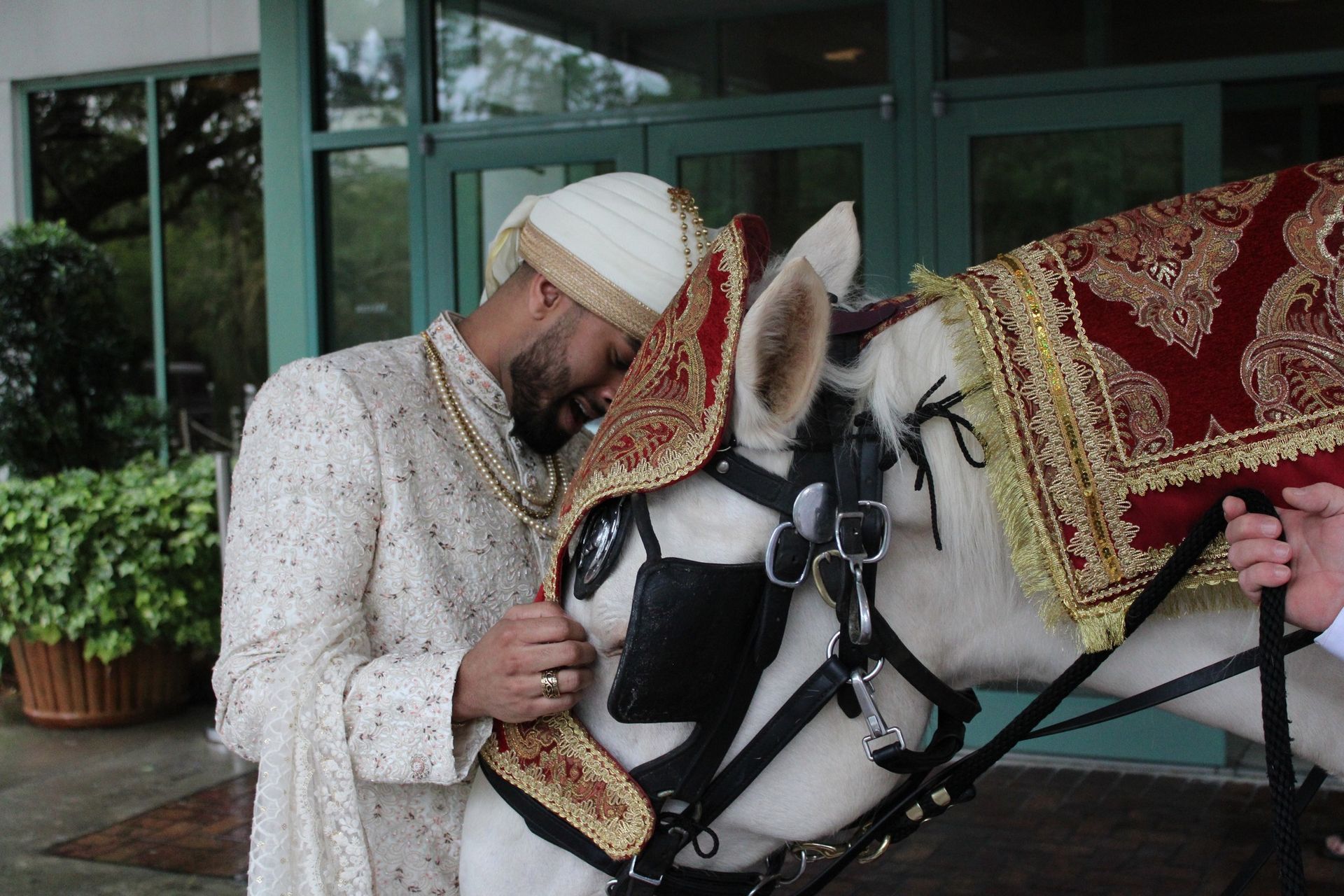 Man in formal wear, turban, embraces white horse with ornate blanket and bridle, likely a wedding.