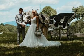 Wedding couple poses with horse and carriage in a sunny field. The bride smiles in a gown, groom in a suit.
