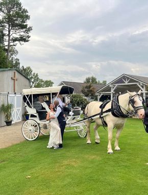 Bride and groom pose beside a white horse-drawn carriage on a grassy lawn.