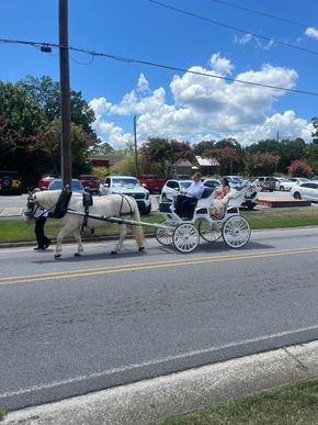 Girl in purple gown with horse, posing outdoors, holding bouquet.
