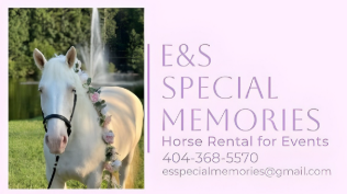 White horse with floral garland, water fountain in background, E&S Special Memories business card.