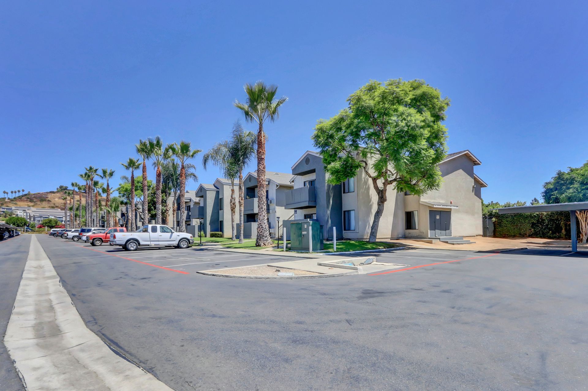 A parking lot with cars parked in front of a building with palm trees.