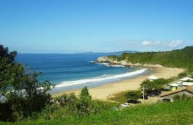Praia com oceano azul, costa arenosa, vegetação verde e edifícios sob um céu limpo.