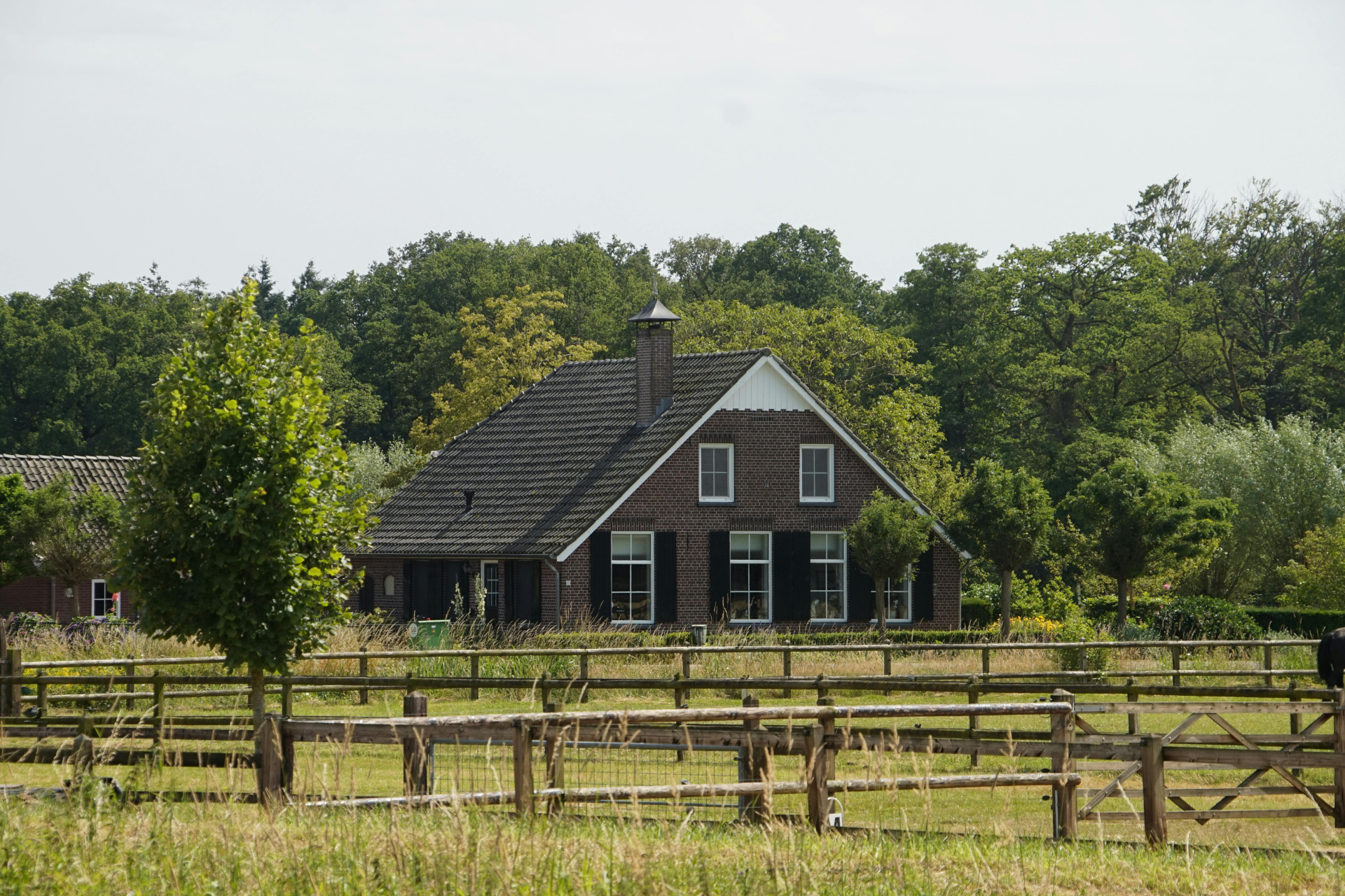 Rustic house with dark roof and white-trimmed windows behind wooden fences and green trees