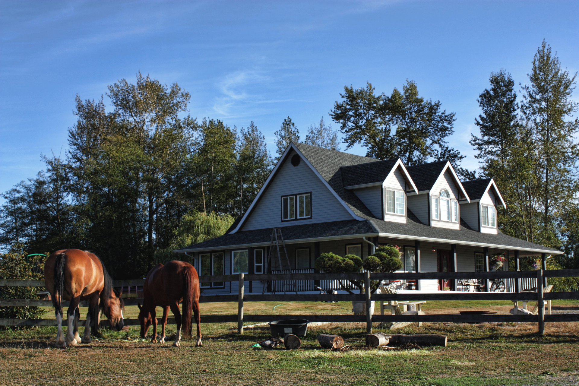 Two horses grazing beside a white farmhouse with dormer windows under a clear blue sky