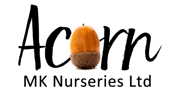 acorn tree nursery