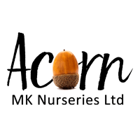 mk acorn