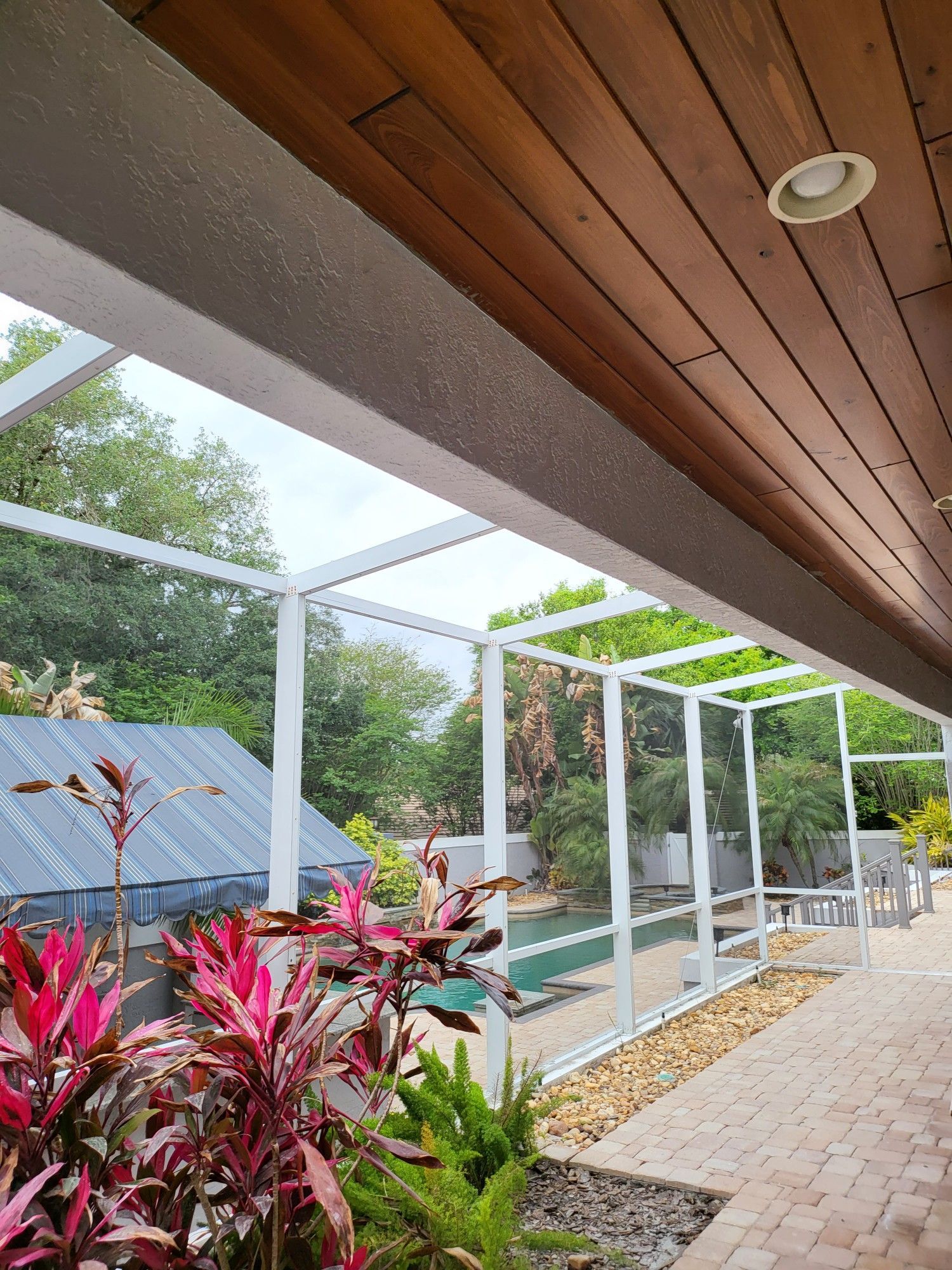 Screened-in patio with wooden ceiling, pool, and red and green plants. White frame with green trees in the background.