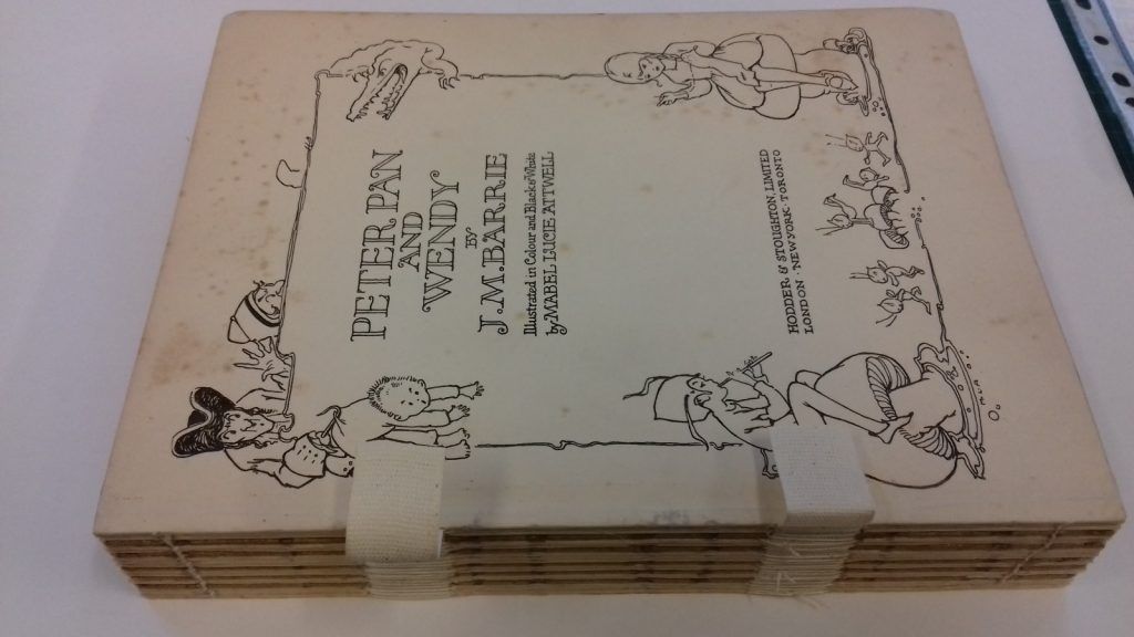 Image of one of book repairs