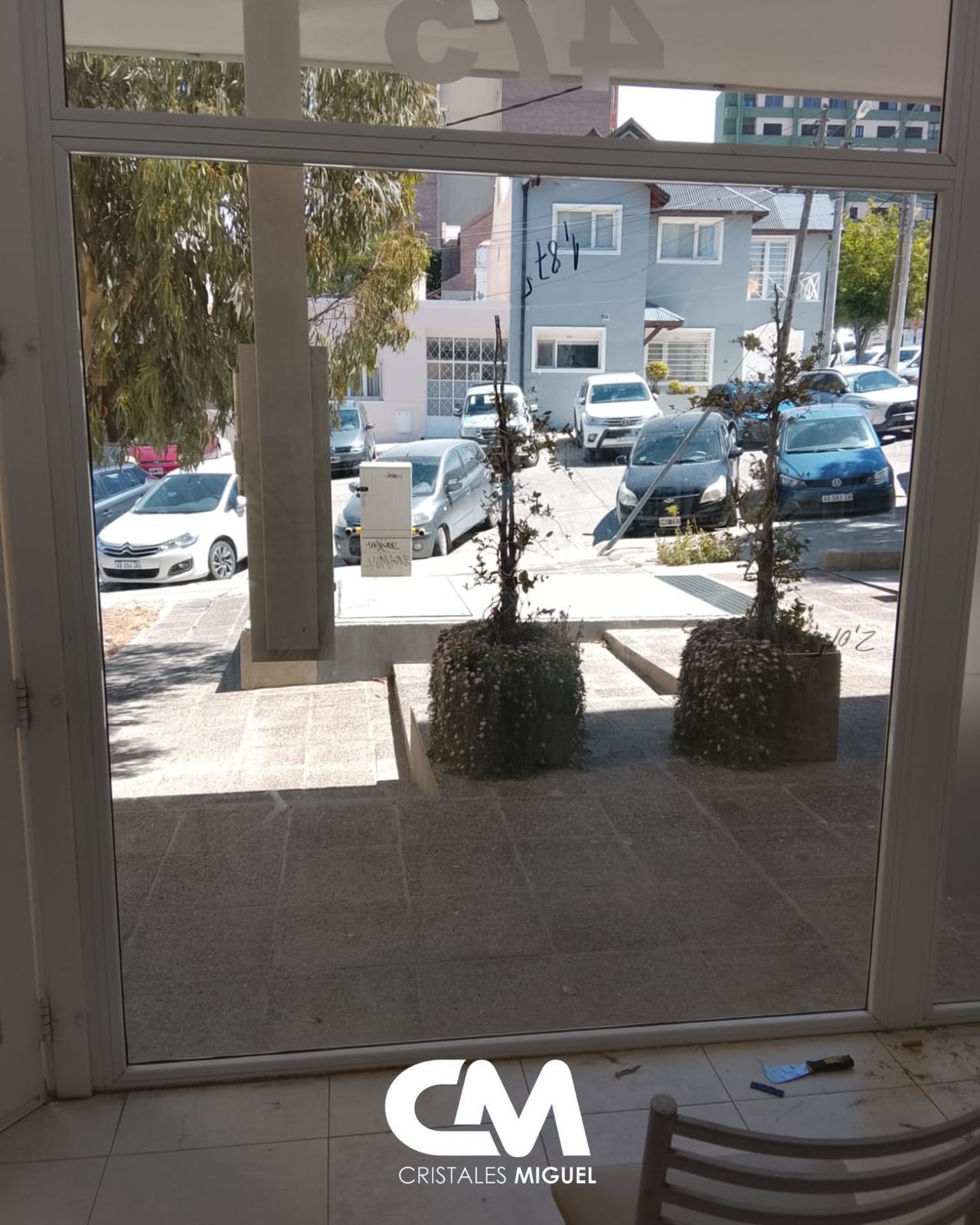 Vista a través de una ventana: dos plantas en macetas, coches aparcados en la calle y un edificio.