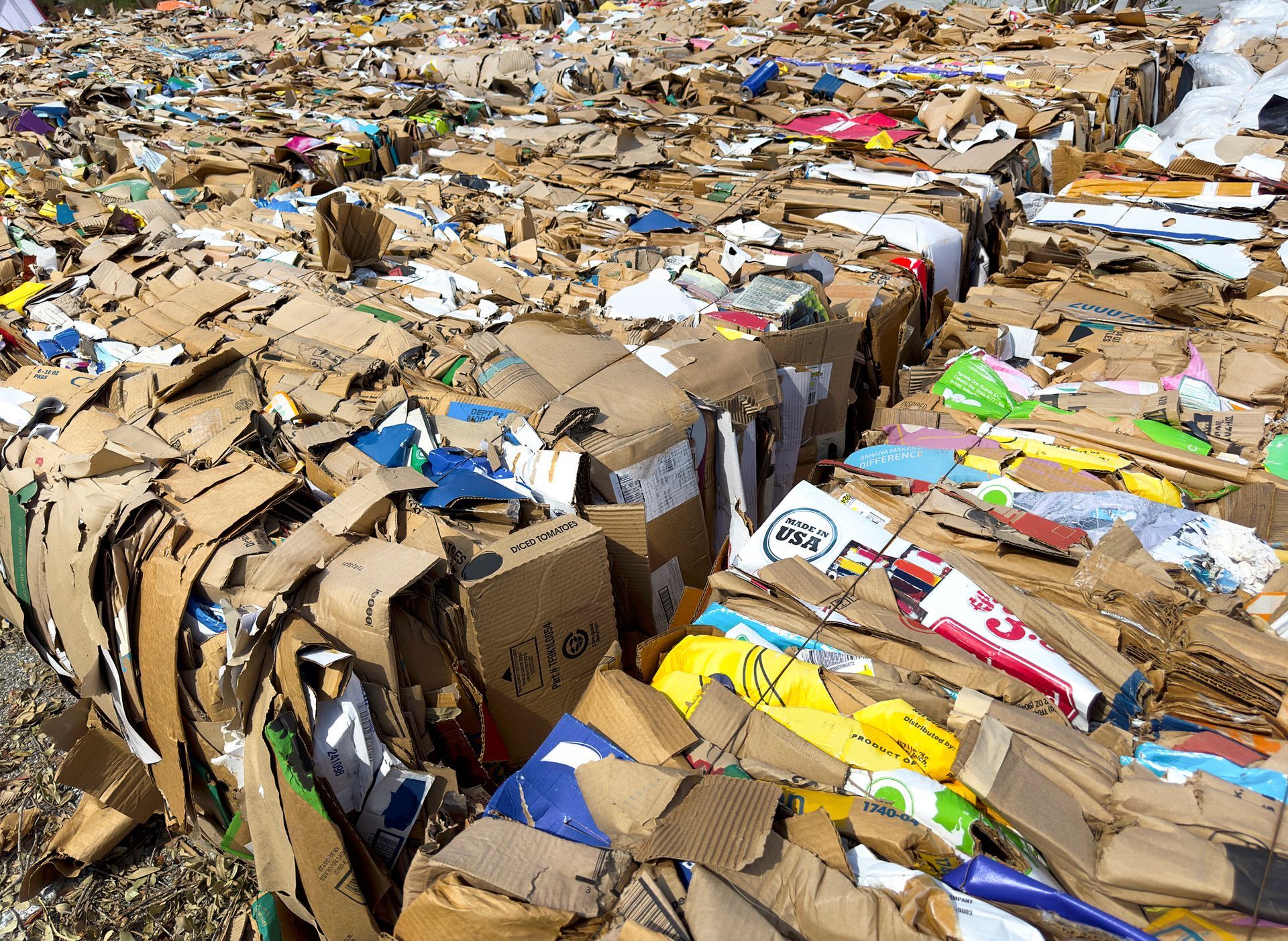 SMALTIMENTO RIFIUTI NON PERICOLOSI 