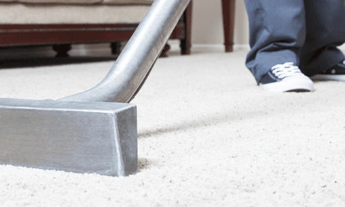 carpet cleaning with shoes