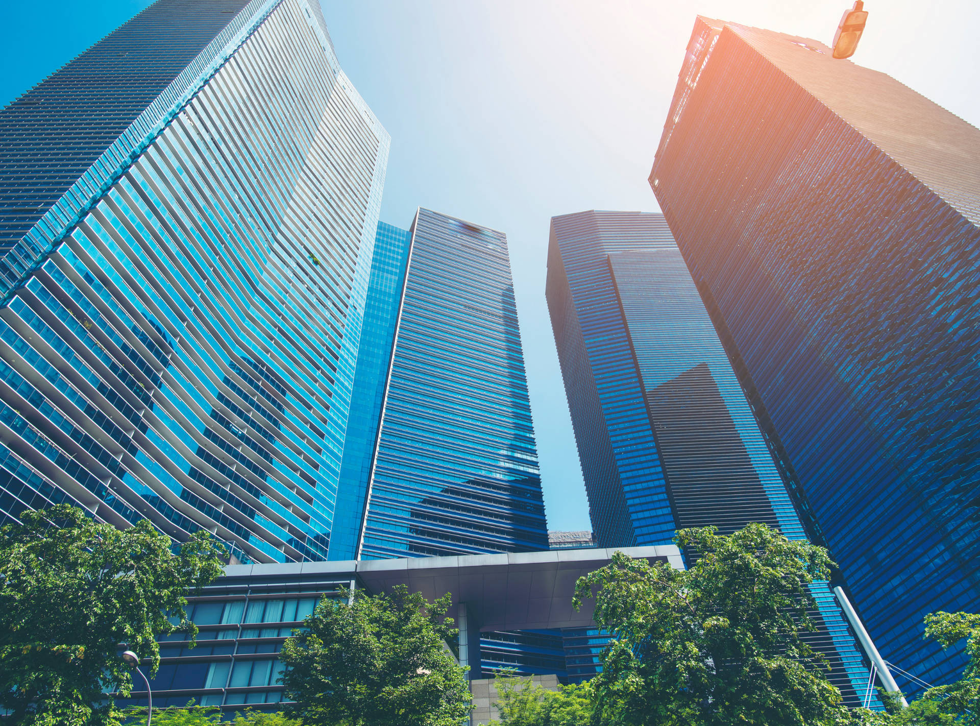 A group of tall buildings in a city with trees in front of them.