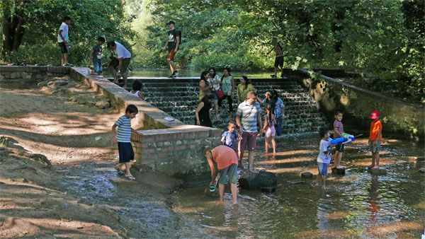 People wading in a stream on a sunny day. Some are playing near a small waterfall.