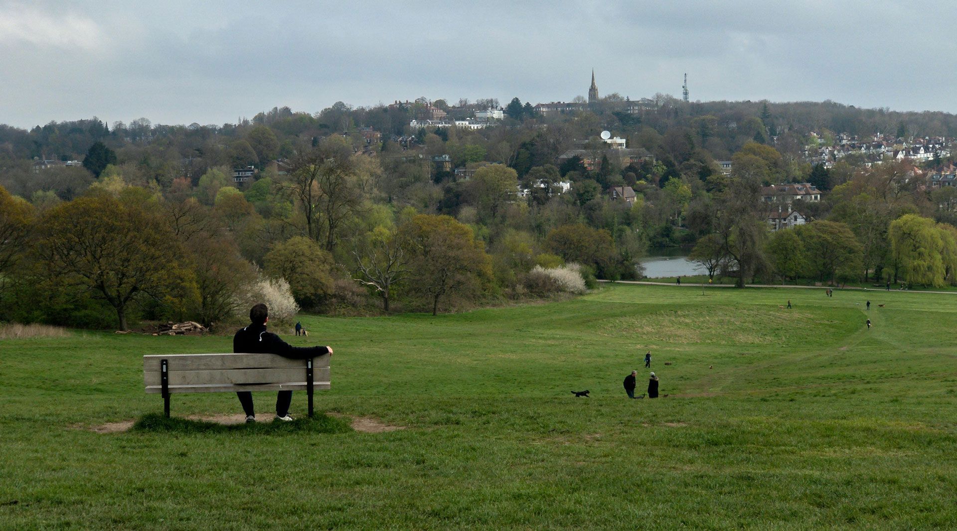 Hampstead Heath