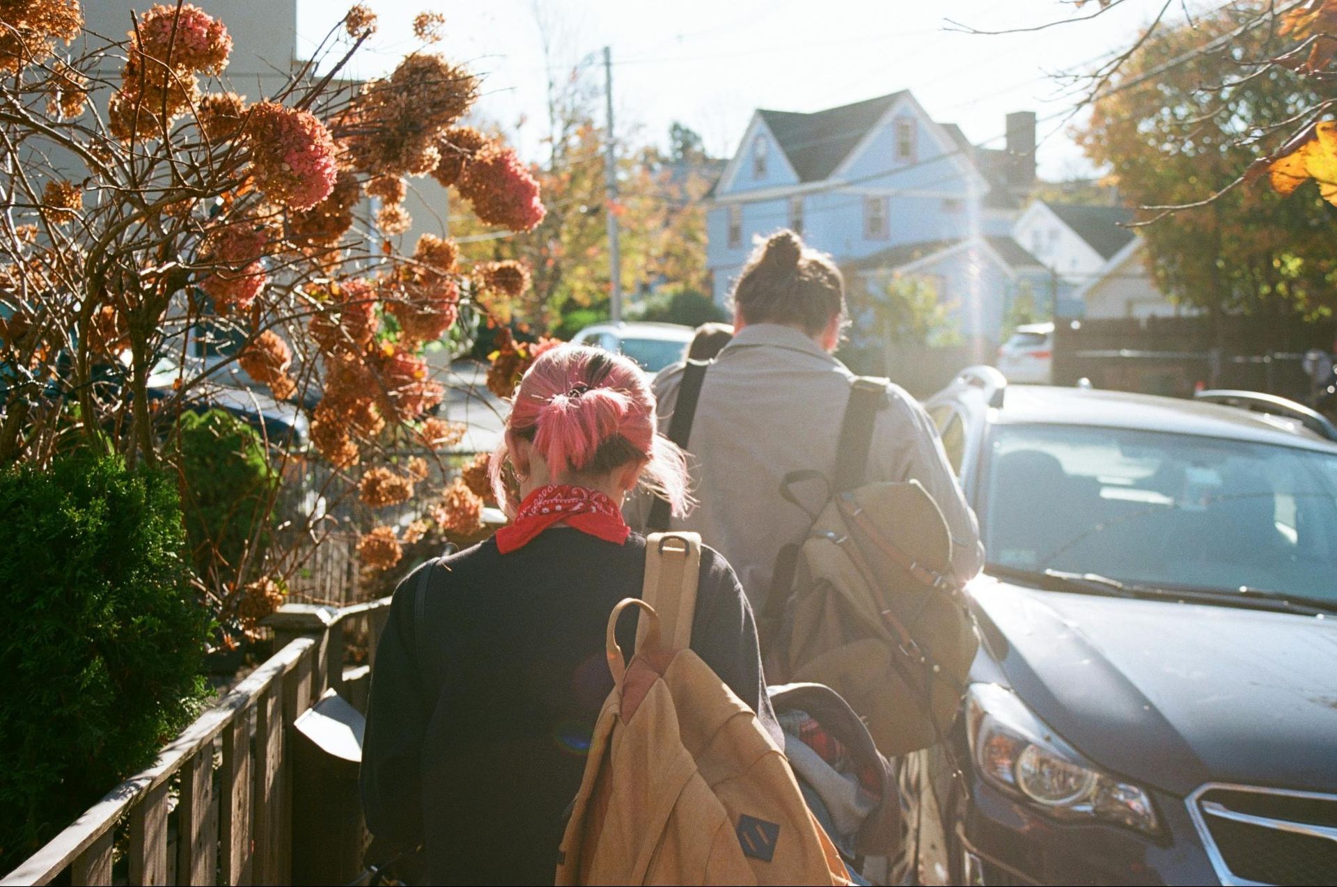 Two people walking on a sidewalk, one with pink hair. Autumn trees and houses in background.