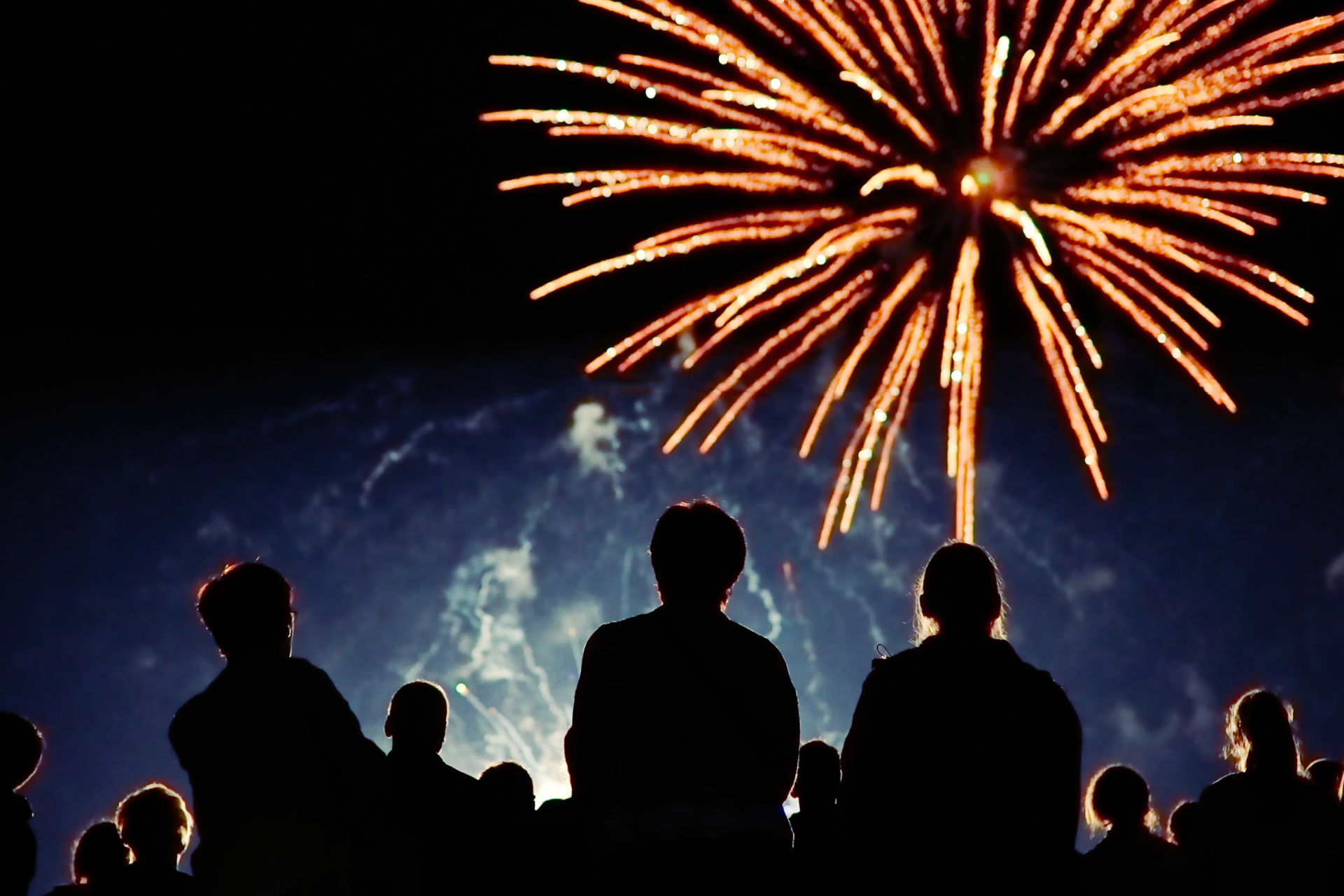 A group of people are watching fireworks in the night sky