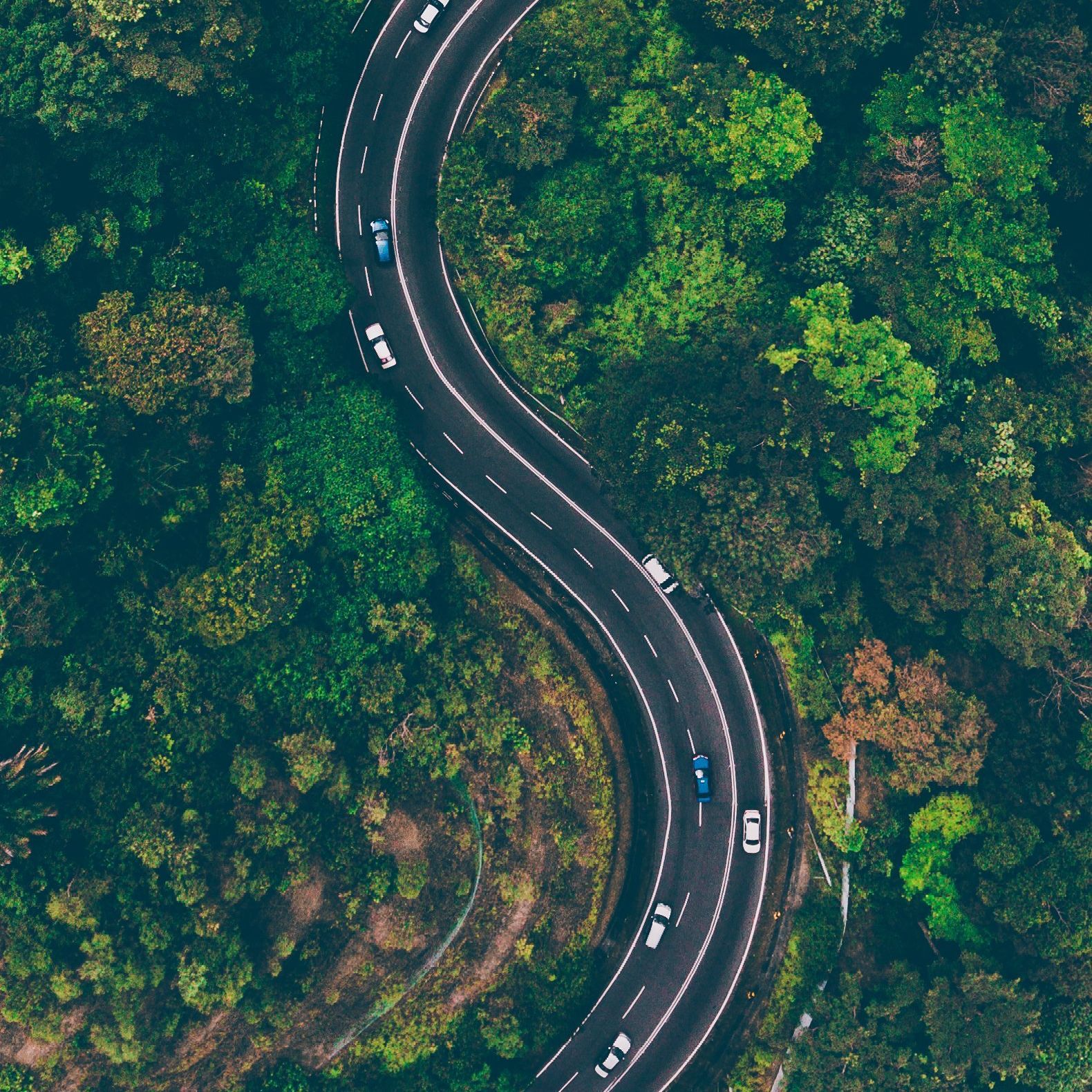 An aerial view of a winding road surrounded by trees.