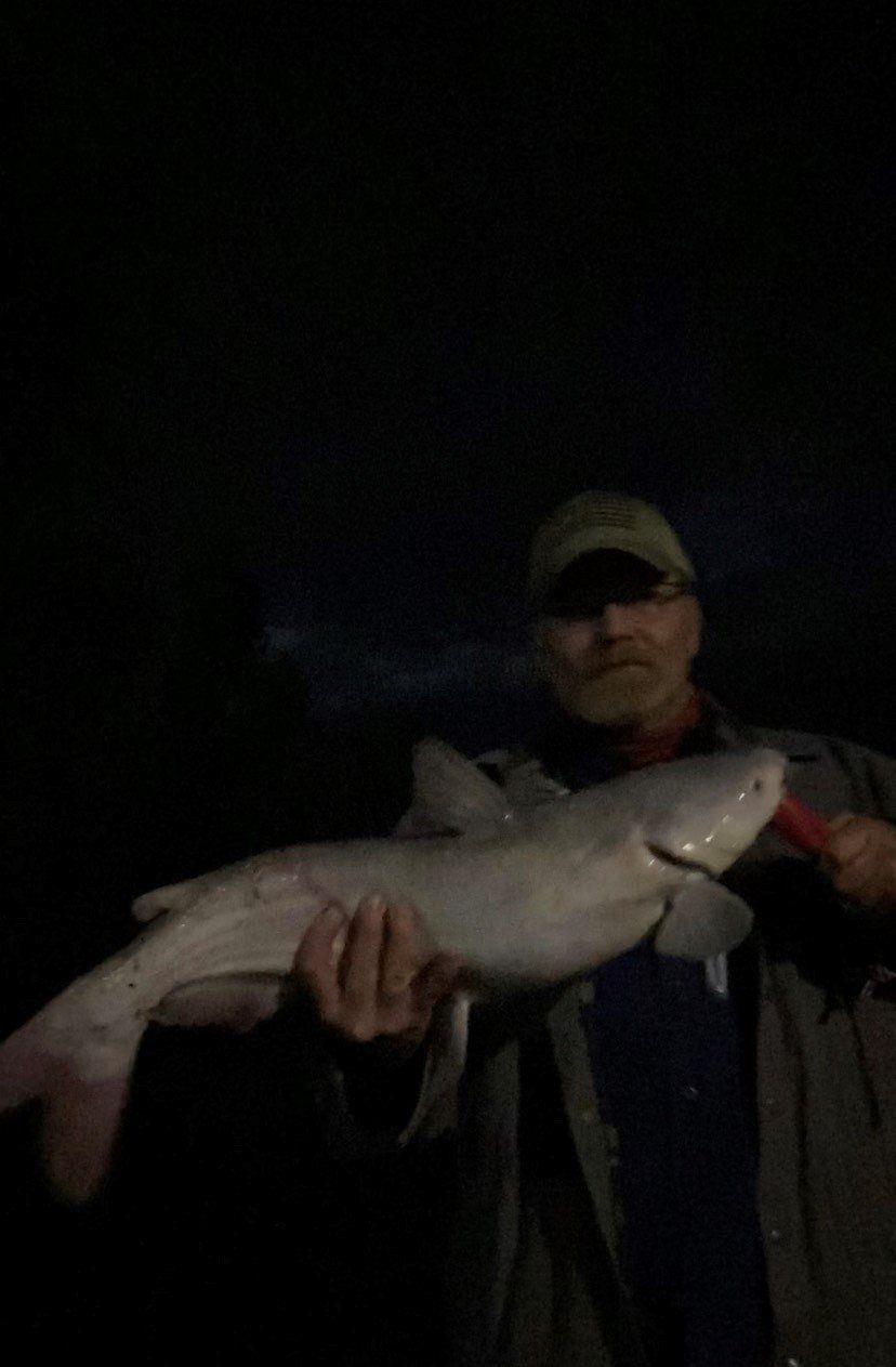 Man holds up a large, light-colored catfish at night. He wears a baseball cap and jacket.