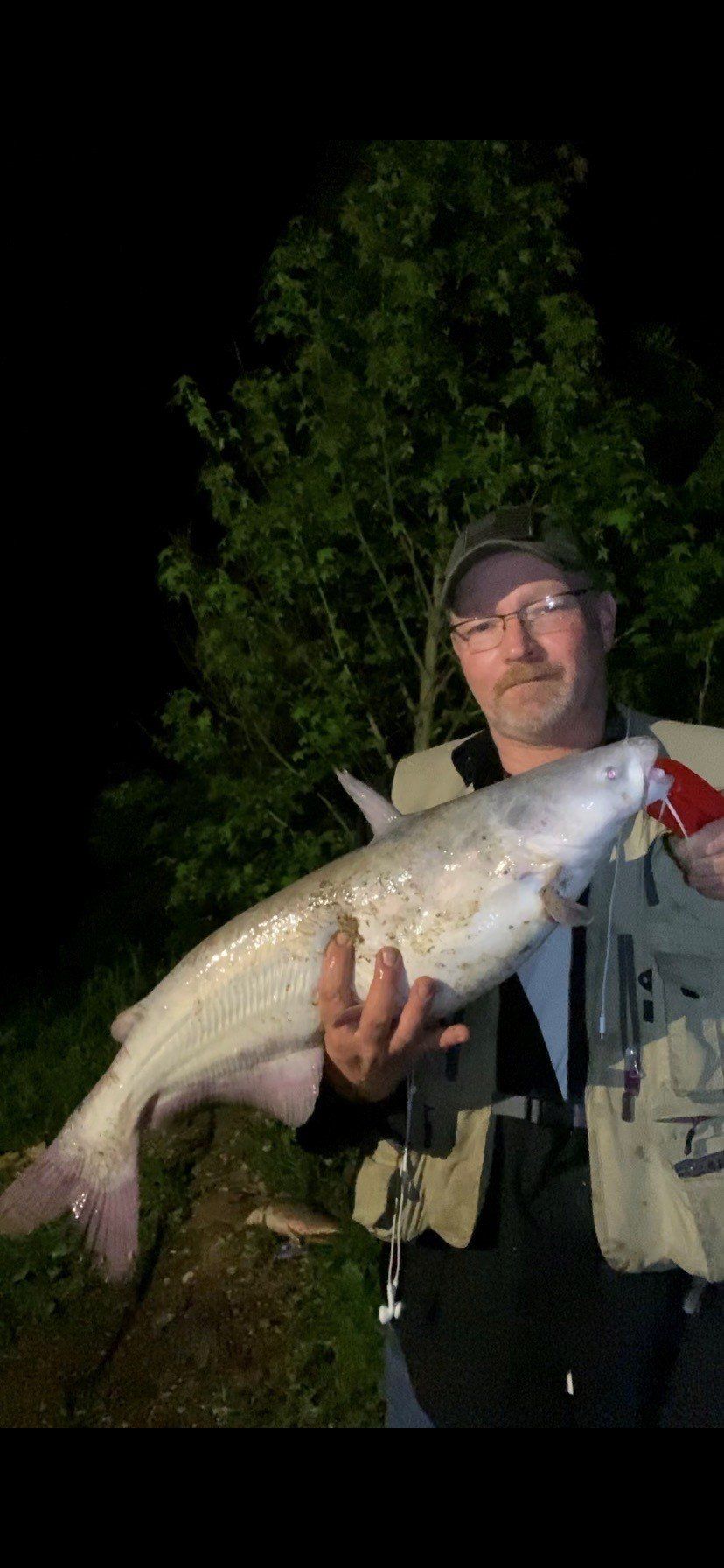 A person in a hat holding a large, silvery fish with pink fins at night. Dark green foliage in the background.